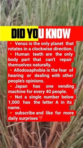 Human & Planet Facts 🧠🌍