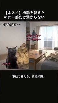 【ネスペ/新試験】ルータを替えたのに一部だけ通信が戻らなかった話 #shorts #猫ミーム #資格勉強