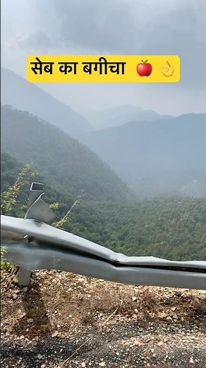 Apple Garden Tour | Beautiful Apple Orchard in Nature 🍎🍏