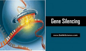 Gene Silencing: Gene expression regulation at Particular Gene