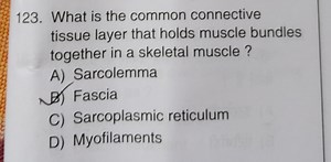 What is the common connective tissue layer that holds muscle bu... | Filo