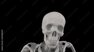 Skeleton crawling. 4k 3D animation of a skeleton crawling towards the camera - Creepy Halloween concept animation Stock Video