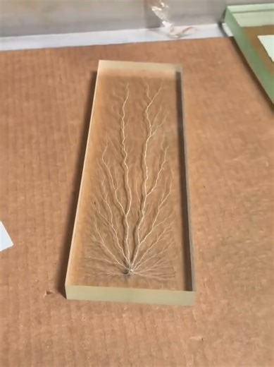 Artist @Electron_Impressions uses particle physics and high-voltage electrons to trap real lightning patterns inside acrylic, creating permanent Lichtenberg figures that look like electricity caught mid-strike. Science you can see. Art you can feel. ⚡️🌩️ Artist @electron_impressions ☄️