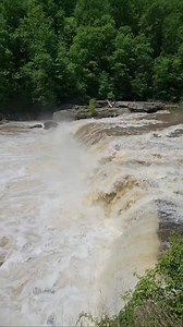 Ohiopyle Falls in Pennsylvania #chasingwaterfalls | Nature Heals the Soul