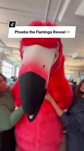 Phoebe the Flamingo Unmasked - A Surprise Reveal!