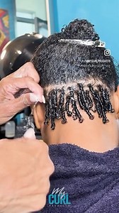 Natural Hair Inspiration-Protective natural hair styling options using your own hair. Let us help you find the styles and products that work best for your texture. Products available exclusively at mycurlproducts.com, Amazon and Walmart.com- Our salons are located in Charlotte and Los Angeles @stylesbylisa #mycurlproducts #stylesbylisa #embraceyourtexture | My Curl Products