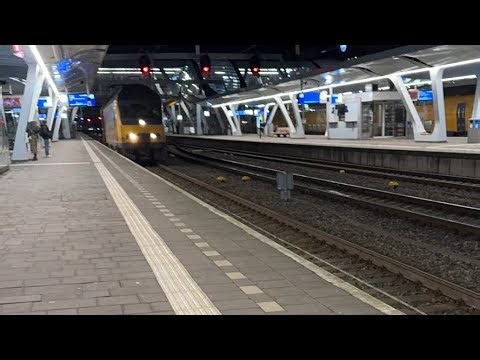 Travel back home 🫩