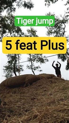 5 Feet High Jump: Level Up! 💪 | My Training Progress