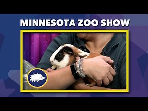 MN Zoo Show — 09-18-25