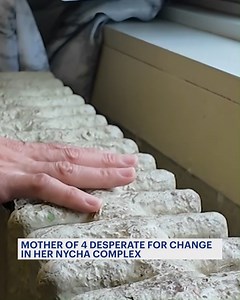 1.6M views · 18K reactions | Clara Rivera, a mother of four, says she has been left without heat and hot water for months at the Sonia Sotomayor Houses. Chores like doing dishes, laundry and even showering have no become impossible for her and her family. - https://bit.ly/4hGaPUt | News 12 The Bronx | Facebook