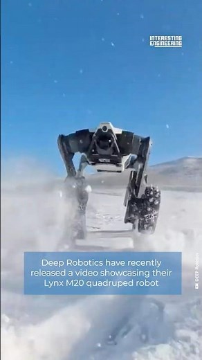 Deep Robotics’ Lynx M20 Extreme Cold Snowfield