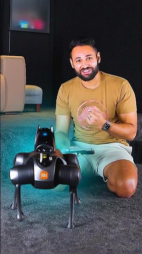 I bought a robot dog