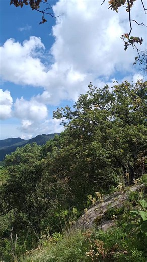 Naturaleza: lugares y belleza de la perla plateada