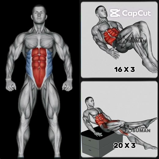 Get Abs in 2 WEEKS | Abs Workout Challenge