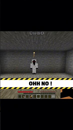 Wait For End 💀 #trollface #minecraft #entity303