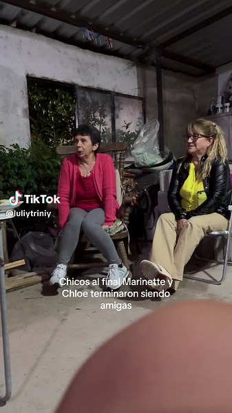 #ladybug #marinette #chloe #miraculous #fyp