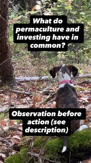 What does that mean to the permaculturist? In permaculture you learn to observe the natural world