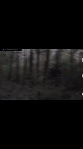Cloaked entity captured on camera, in a forest…! And it attacks??? #haunted #spirit #paranormal #ghost #unexplained #scary #demon #louisiana #Sasquatch #Skinwalker #neworleans #cryptid #forest #bigfoot #alien | Unsolved Mysteries of Louisiana