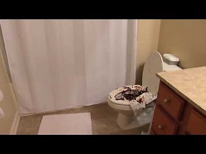 SML Movie - Mario's Hobo Problem But Mario Gets Fear Poops