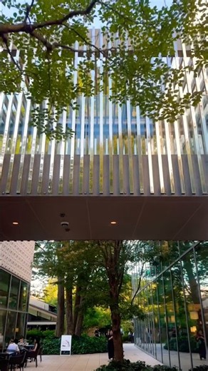 Tokyo's Most Beautiful Bookstore? 📚｜Daikanyama T-SITE 東京で最も美しい本屋？｜代官山T-SITE