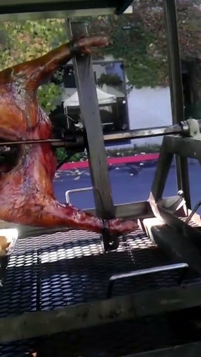 Pig (Hog) Spit Rotisserie Motor
