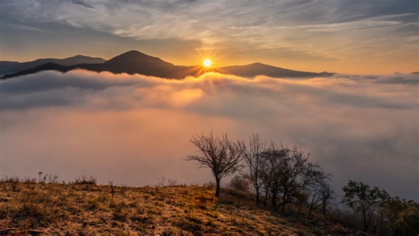 The Art of Cropping to Enhance Your Photos