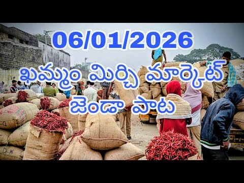 06/01/2026 KHAMMAM MIRCHI MARKET TO DAY PRICE JENDA PATA.