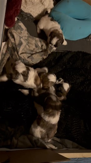 Jodi Yerkey on Reels