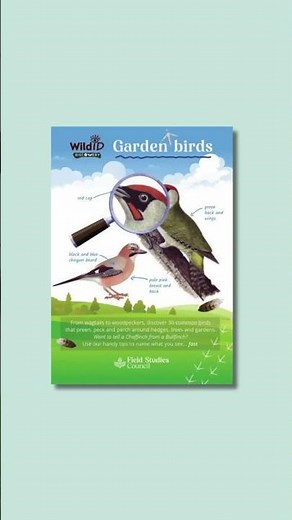 Explore wildlife this season! 🌿