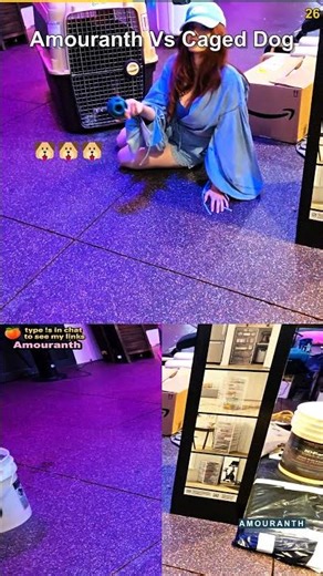 Amouranth vs Caged Dog