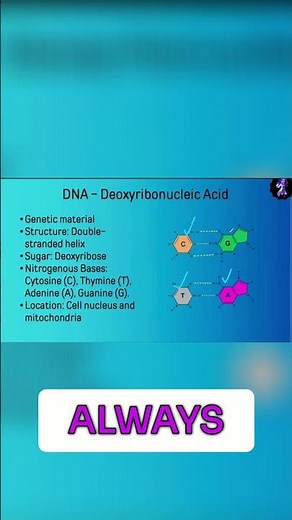 DNA vs RNA: Understanding the Basics of Biology