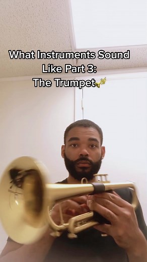 Exploring Trumpet Sounds: Part 3 of What Instruments Sound Like