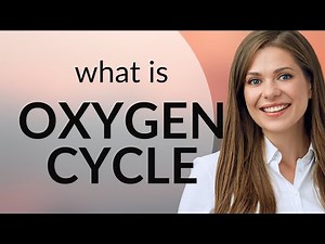 Understanding the Oxygen Cycle: A Simple Guide