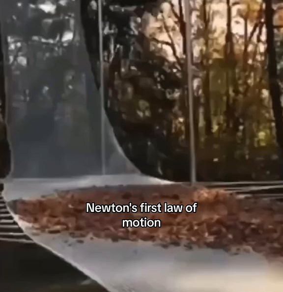 Understanding Newton's First Law of Motion