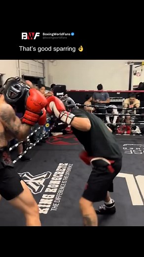 423K views · 6K reactions | Beautiful work, hitting the head with control and putting heavy punches on the body壘 (Via @letthedogeat ) #boxing | Mbrboxing | Facebook