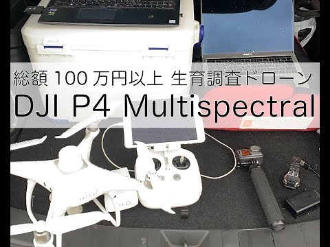 【DJI新商品2020】P4 Multispectral使用現場からお届けします【スマート農業】
