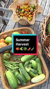 Backyard Garden Summer Harvest Recap