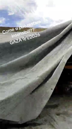 #palestina #palestine #gaza #freepalestine🇵🇸 #palestine🇵🇸