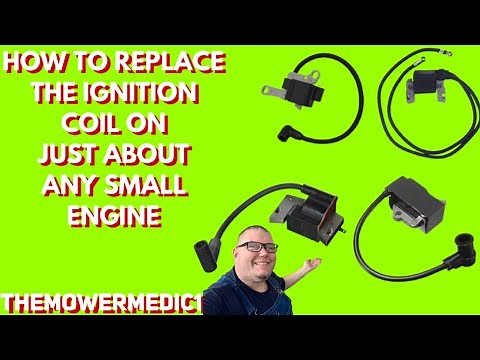 BRIGGS AND STRATTON ENGINE REPAIR how to replace the ignition module on most 4 and 2cycle engines