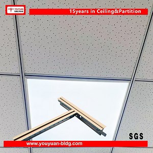 [Hot Item] Galvanized Light Steel Keel Suspended Ceiling System for Gypsum Board