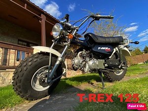 SKAYTEAM T REX 125