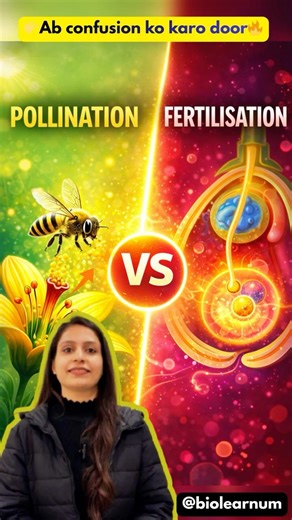 |👉Pollination versus Fertilisation🔥| Sexual Reproduction In Flowering Plants| #biologyshorts