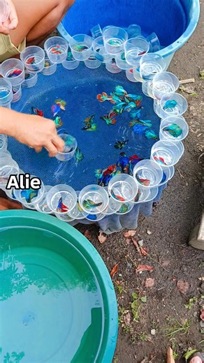 870K views · 11K reactions | just playing the cup can make money cuma mainin cup bisa cuan | Alie | Facebook