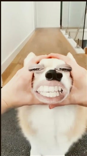 uehe I will be there #funny #ilovegadgets