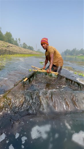 Traditional village River with hand fishing #ytshorts #fishing #river