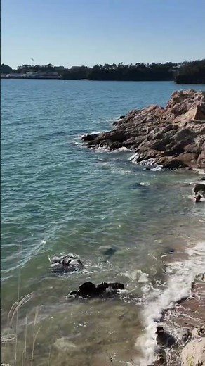 #감성여행 그리고 #서해가볼만한곳? 변산반도