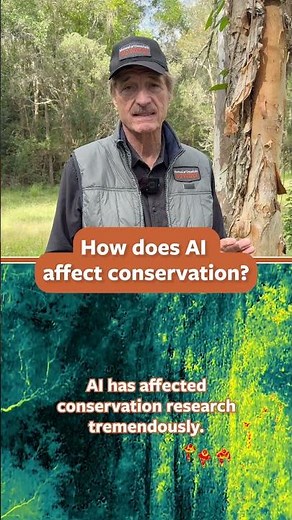 How Does AI Help Conservation?