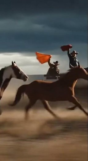 🌊 Horses Charge Through River 🐎 | Epic Slow-Motion Wild Run | Wild Interaction Diaries