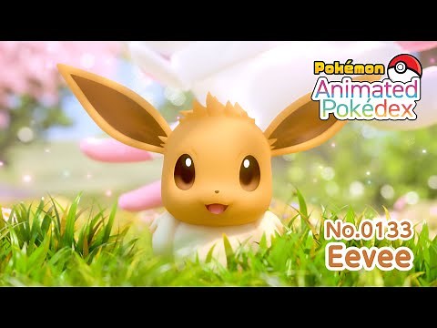 Animated Pokédex No.0133 "Eevee"