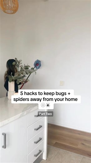 Say goodbye to spiders insects around your home 🕷️🐜🐞 1. Place peppermint oil on cotton balls put them under your bin liner to repel bugs. Bugs hate peppermint so it repels them 2. You can also place these in your vacuum canister to leave the smell of peppermint through your home 3. Repel ants crawling insects from your home using rosemary infused water 4. Pour boiling water down your drains to keep fruit flies their eggs away 5. And spiders hate citrus, so wipe down walls floors with citrus o